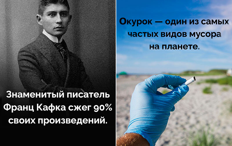 Интересные факты в картинках №9 (20 фото)