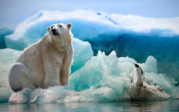 Почему в Арктике теплее, чем в Антарктике?