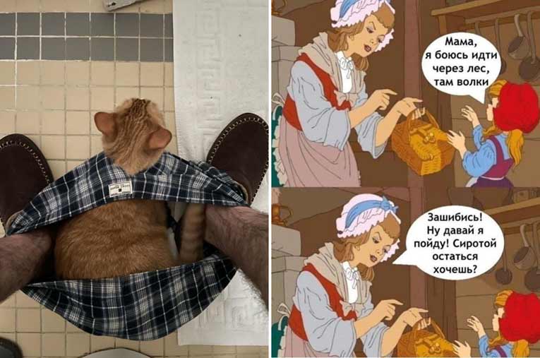 Позитивная подборка прикольных картинок и мемов - 52 (30 фото)