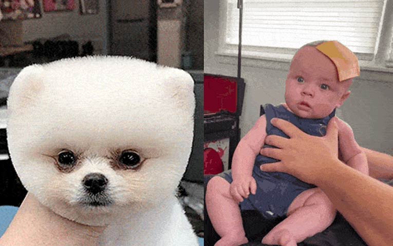 Подборка прикольных гифок от 20.02.2026 (22 gif-картинок)