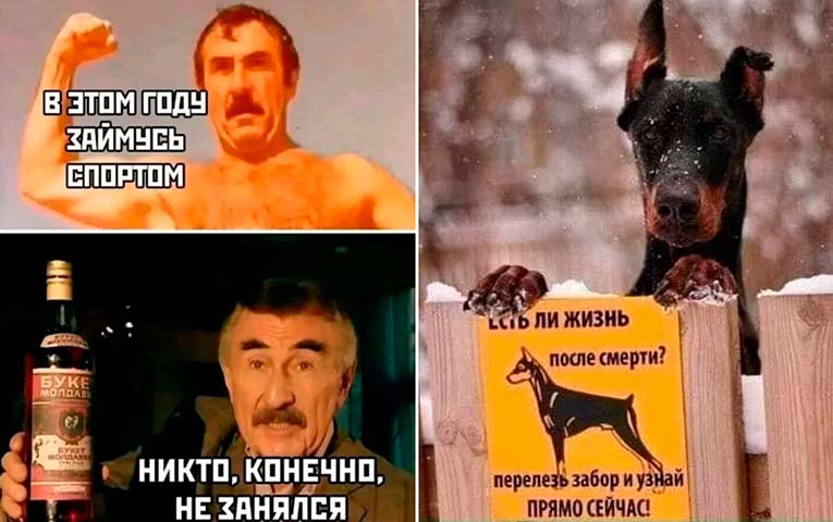 Позитивная подборка прикольных картинок и мемов - 47 (30 фото)