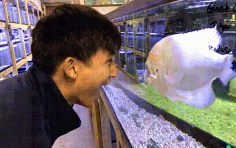 Подборка прикольных гифок от 12.02.2026 (20 gif-картинок)