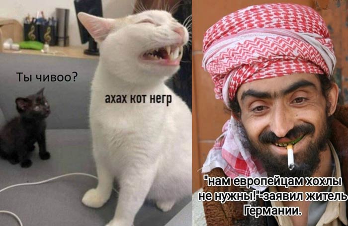 😅 Порция отборного юмора всегда кстати: смешные мемы и картинки ждут вас