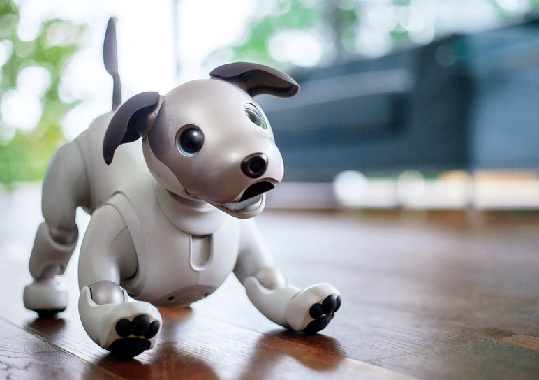 Возрождение AIBO: Новый робопес с искусственным интеллектом Возрождение AIBO: Новый робопес с искусственным интеллектом