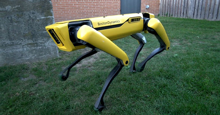 Робособака от Boston Dynamics поиграла с настоящей овчаркой