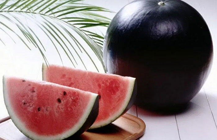 Самые дорогие и необычные продукты в мире