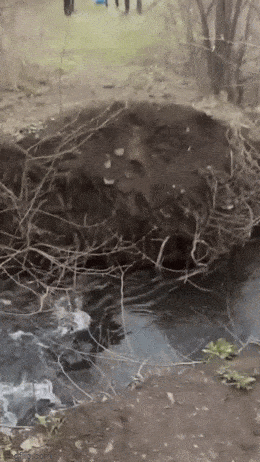 Подборка прикольных гифок от 05.03.2026