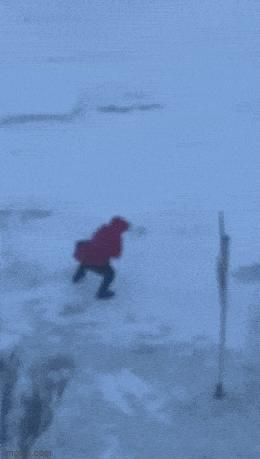 Подборка прикольных гифок от 05.03.2026