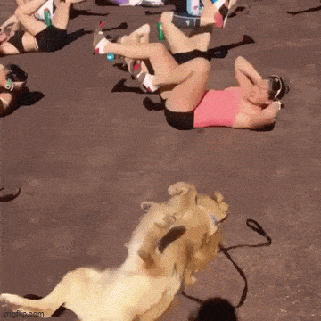 Подборка прикольных гифок от 05.03.2026