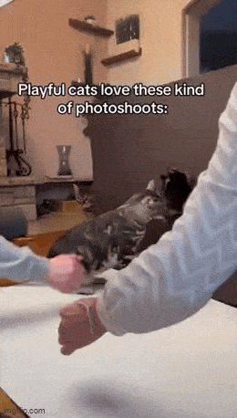 Подборка прикольных гифок от 05.03.2026