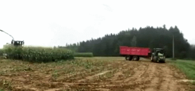 Подборка прикольных гифок