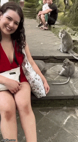 Подборка прикольных гифок