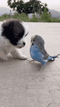 Подборка прикольных гифок