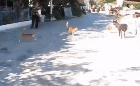 Подборка прикольных гифок