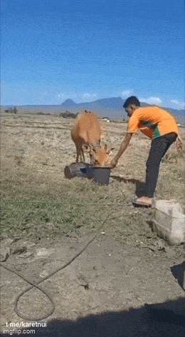 Подборка прикольных гифок от 12.03.2026