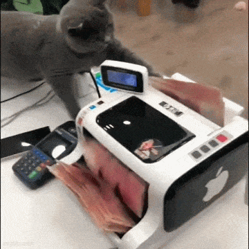 Подборка прикольных гифок от 20.02.2026