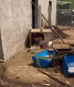 Подборка прикольных гифок от 20.02.2026