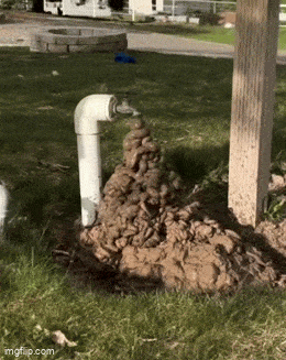 Подборка прикольных гифок от 20.02.2026