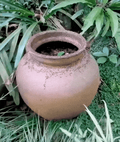 Подборка прикольных гифок от 20.02.2026