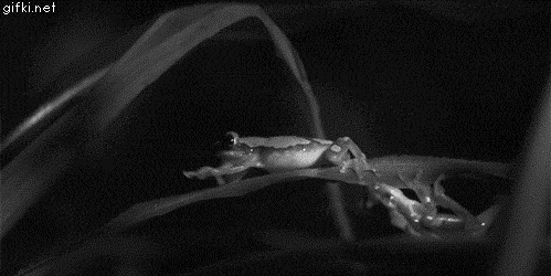 Подборка прикольных гифок от 20.02.2026