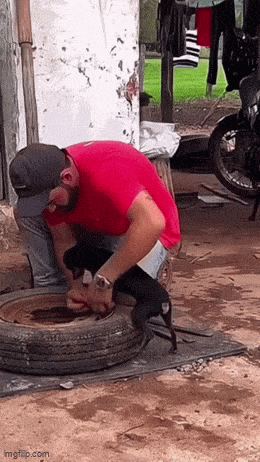 Подборка прикольных гифок от 20.02.2026