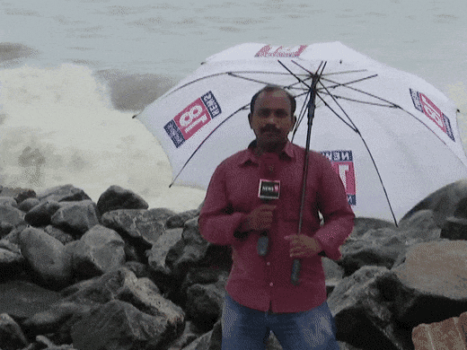 Подборка прикольных гифок от 20.02.2026