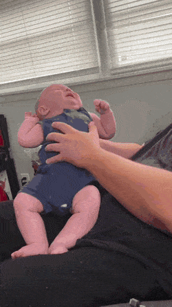 Подборка прикольных гифок от 20.02.2026