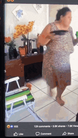 Подборка прикольных гифок от 20.02.2026