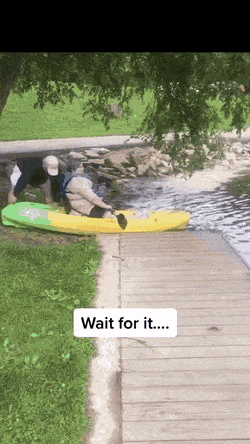 Подборка прикольных гифок от 20.02.2026